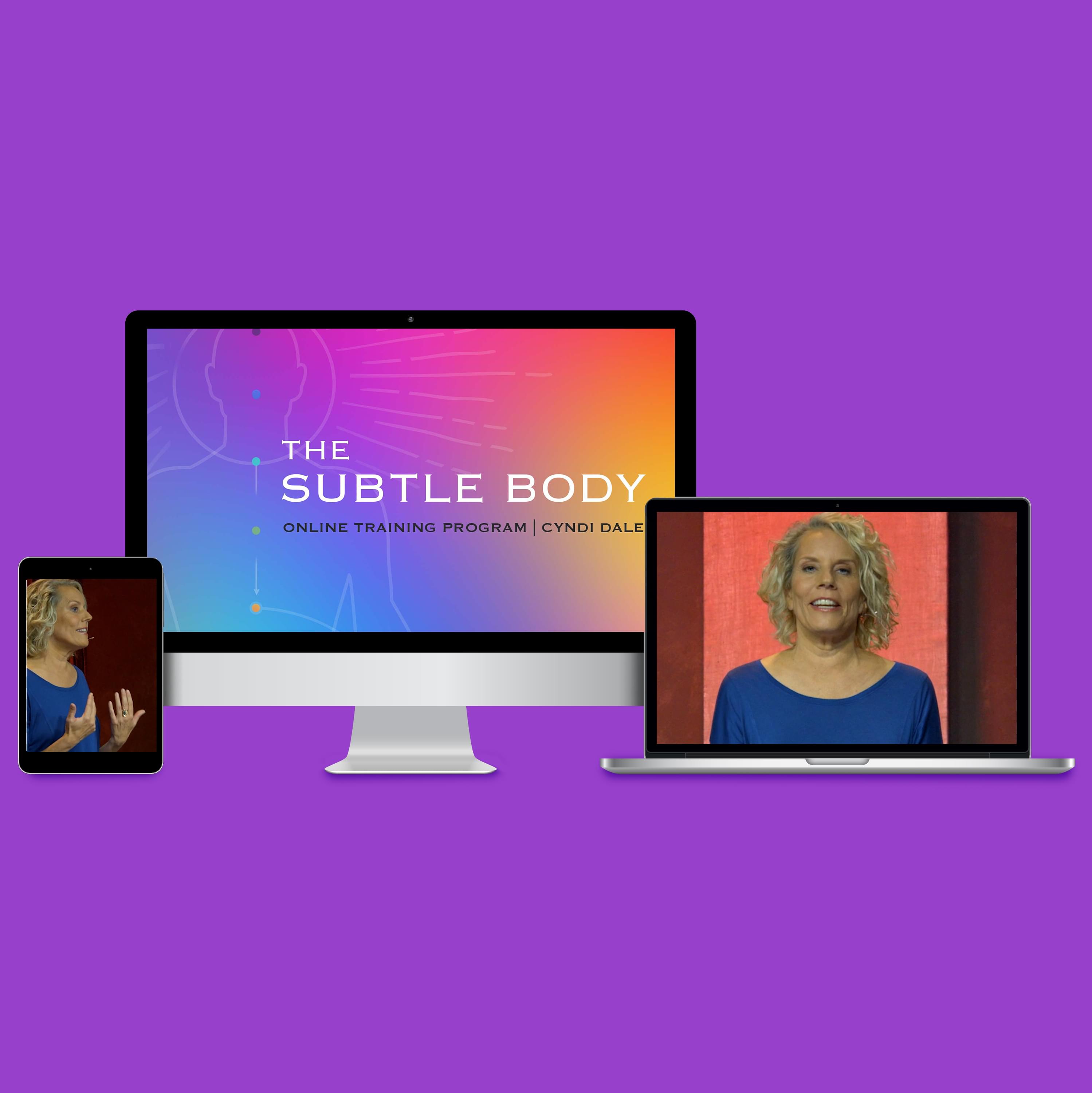 The Subtle Body Online Training  With Cyndi Dale On Computer Devices