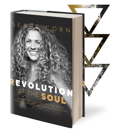 Revolution of the Soul by Seane Corn book cover